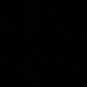 Meet your Posher, Brody